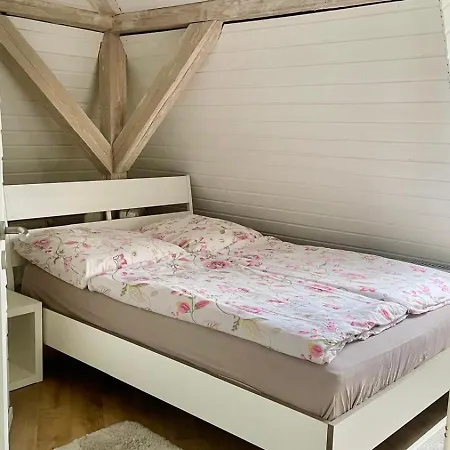 - Ueber Den Daechern Der Stadt دريسدن