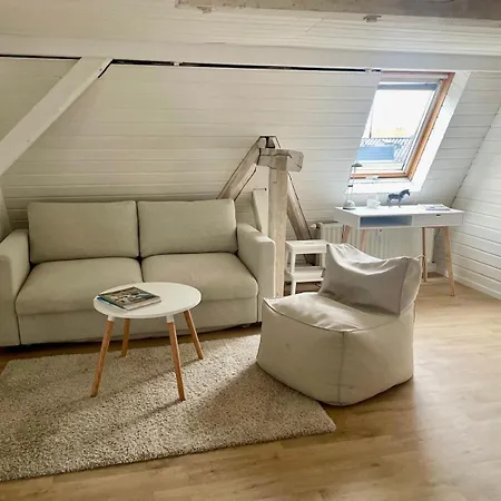 - Ueber Den Daechern Der Stadt Dresden