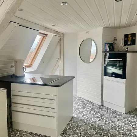 Apartment - über Den Dächern Der Stadt Dresden