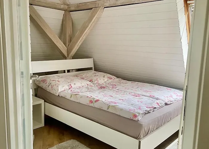 - Ueber Den Daechern Der Stadt Dresden